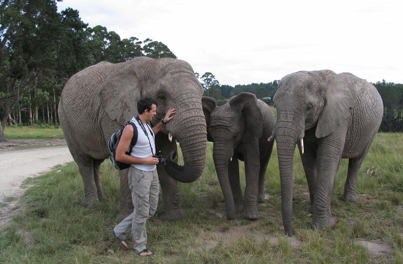 Elephant Sanctuary (8).jpg